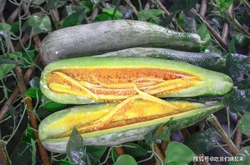 吃网红瓜的平台,各大平台瓜田里的新鲜事 第3张 吃网红瓜的平台,各大平台瓜田里的新鲜事 第3张